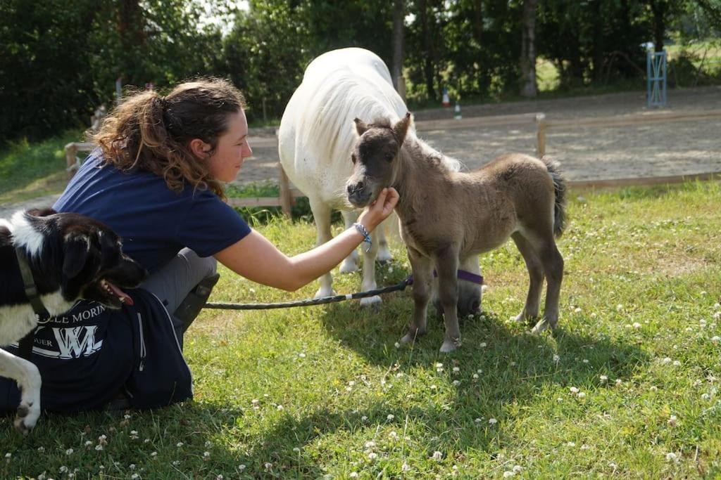 Gite Equestre Dans Centre Equestre Vers Saint Malo Plerguer Dış mekan fotoğraf